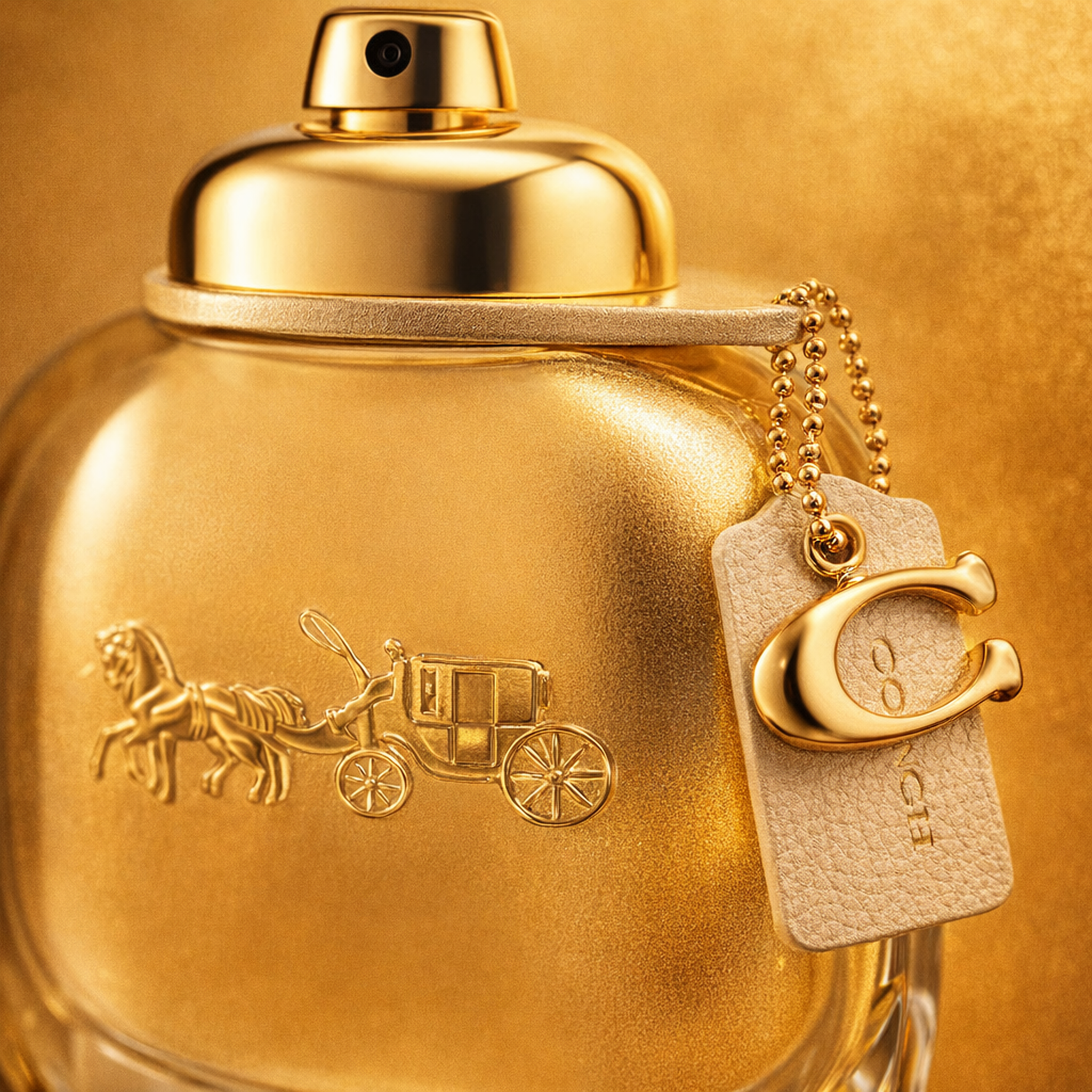 Coach Gold Gift Set for Her fragrance details image