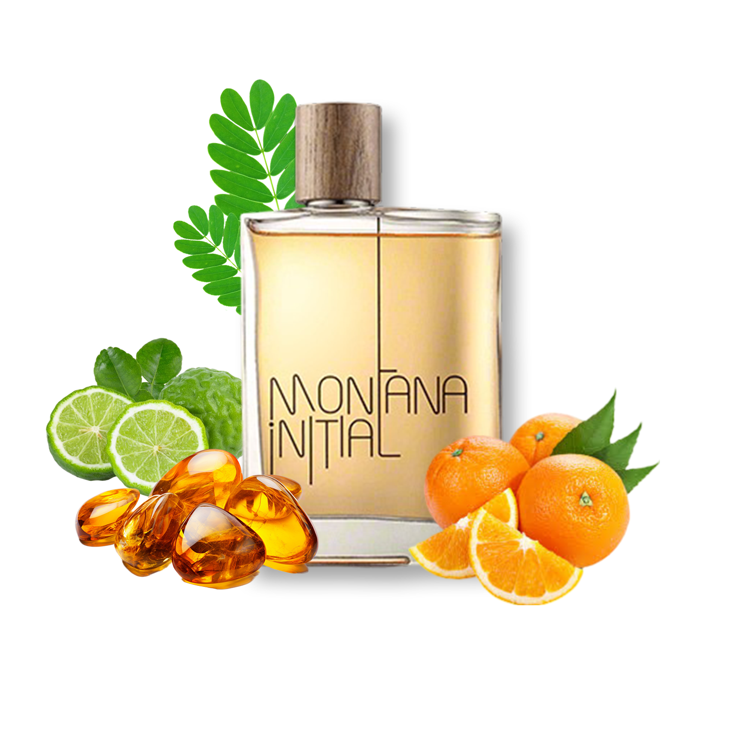 Montana Montana Initial EDT