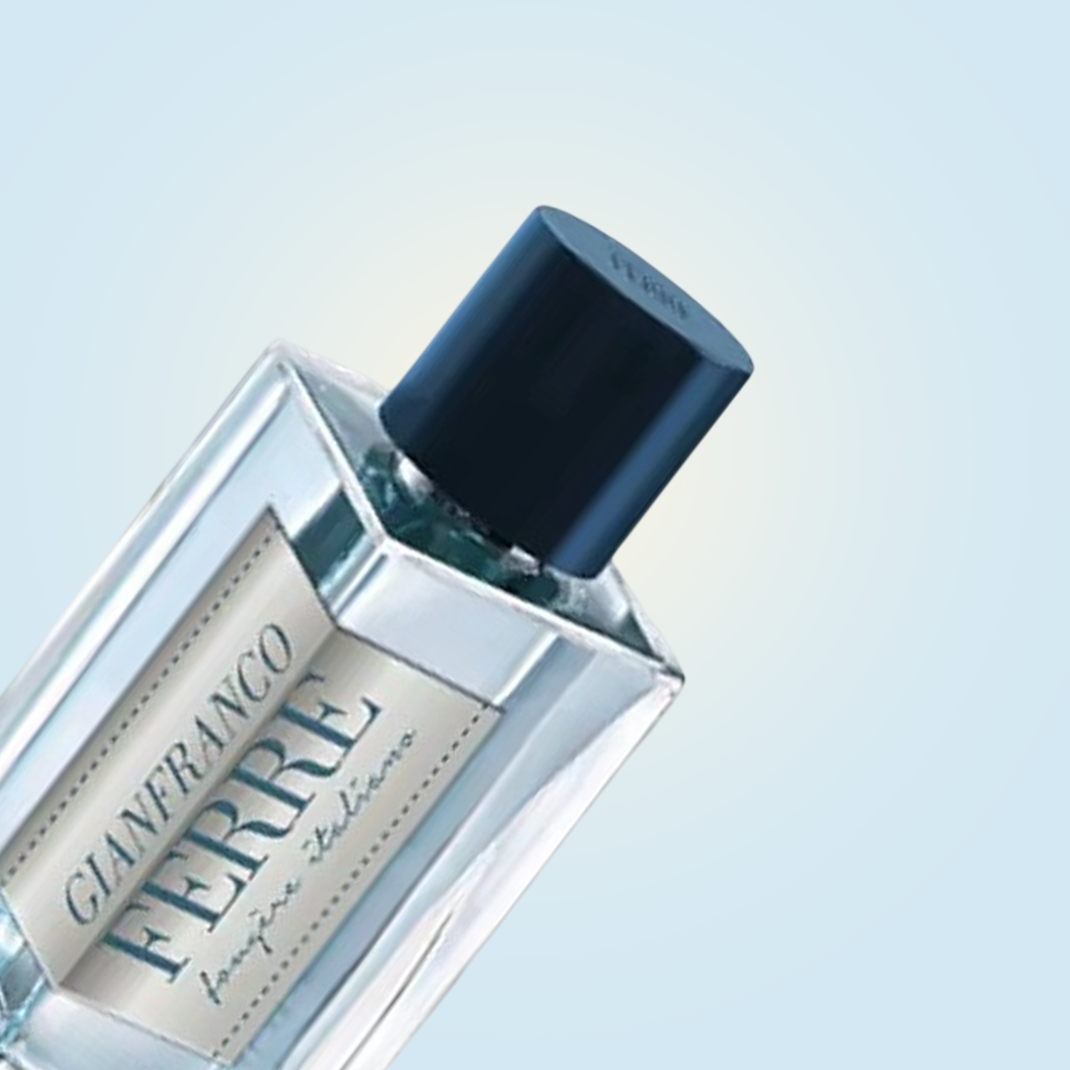 Gianfranco Ferre Fougere Italiano EDT