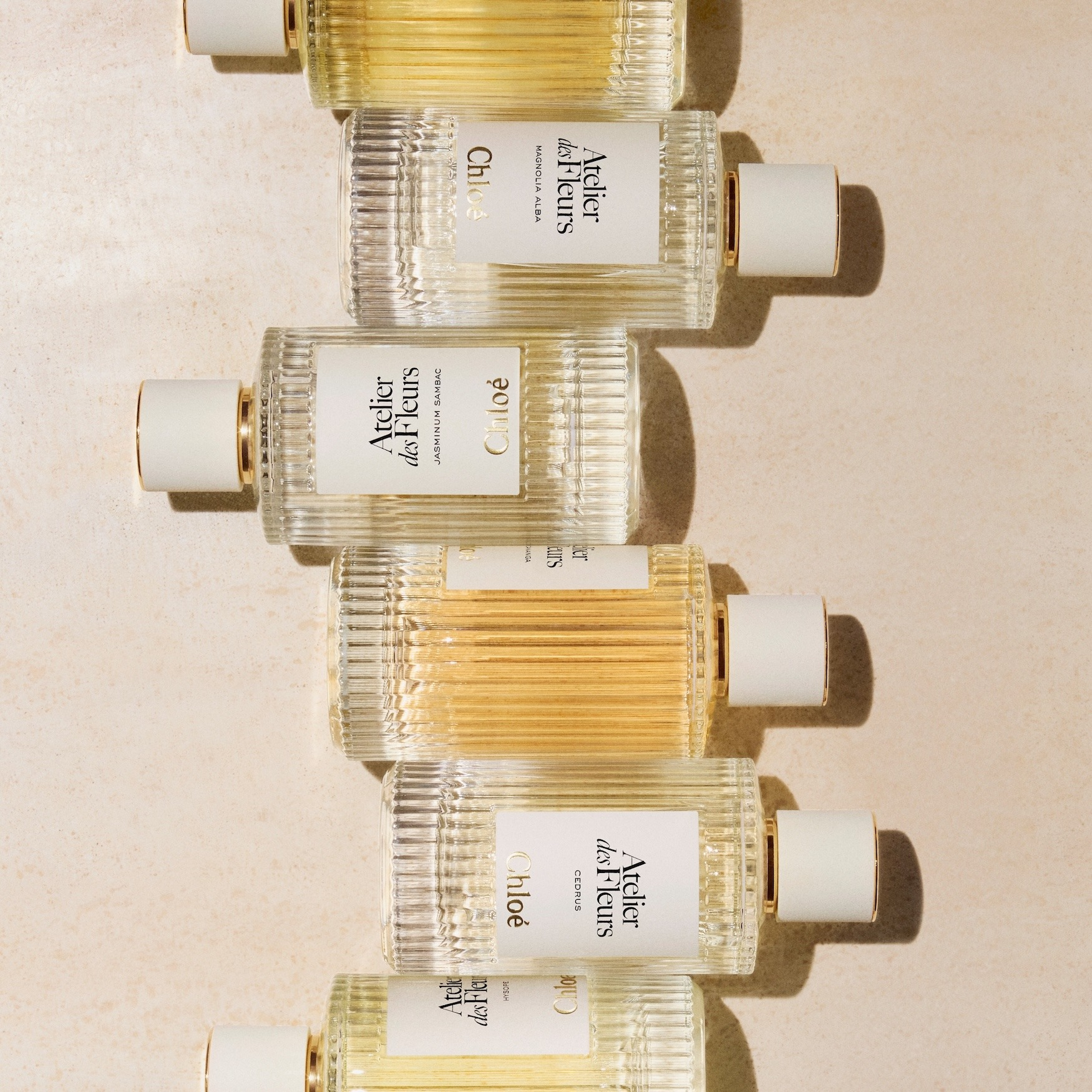 Chloe Atelier Des Fleurs Hibiscus Abelmoschus EDP fragrance details hero image