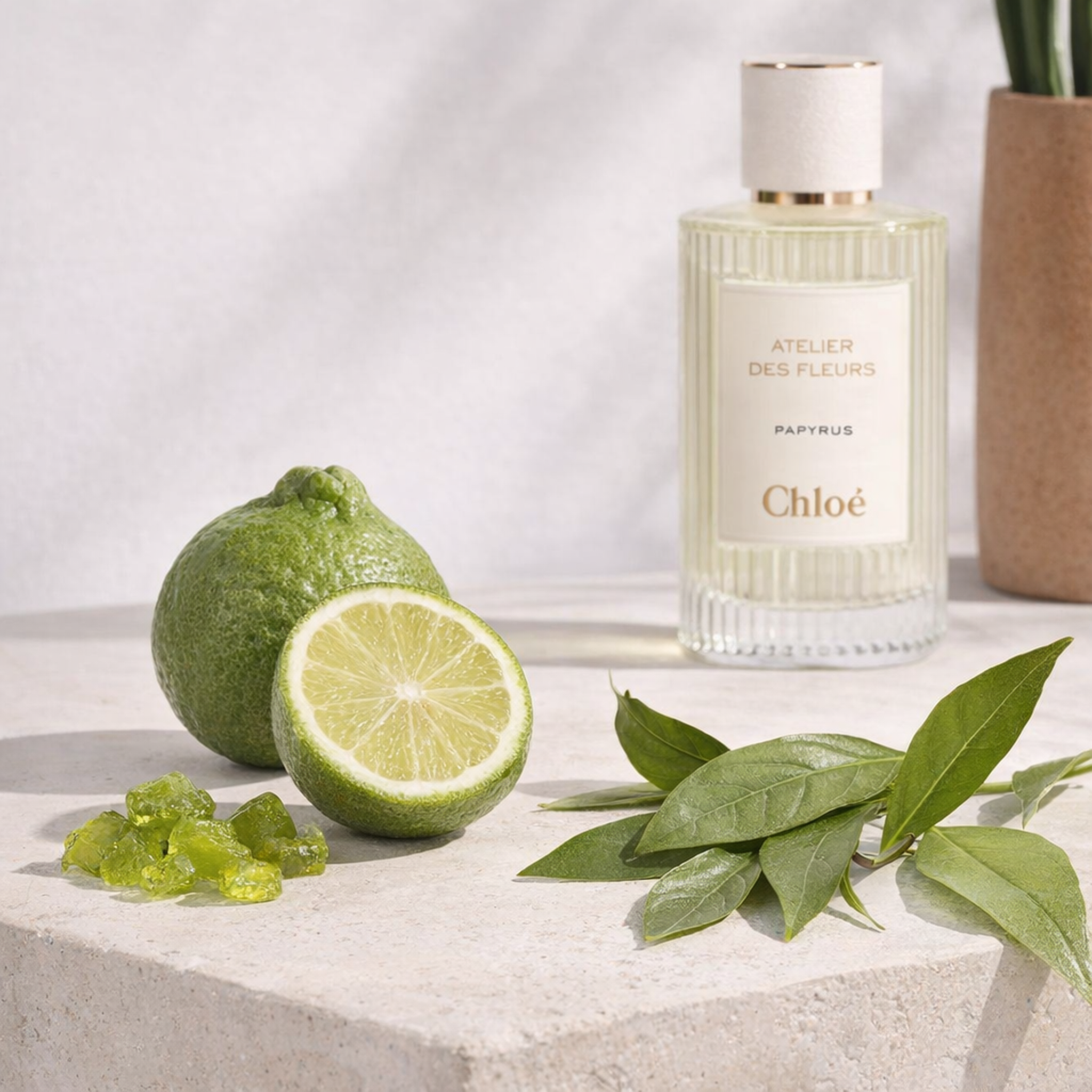 Chloe Atelier Des Fleurs Papyrus EDP fragrance notes image
