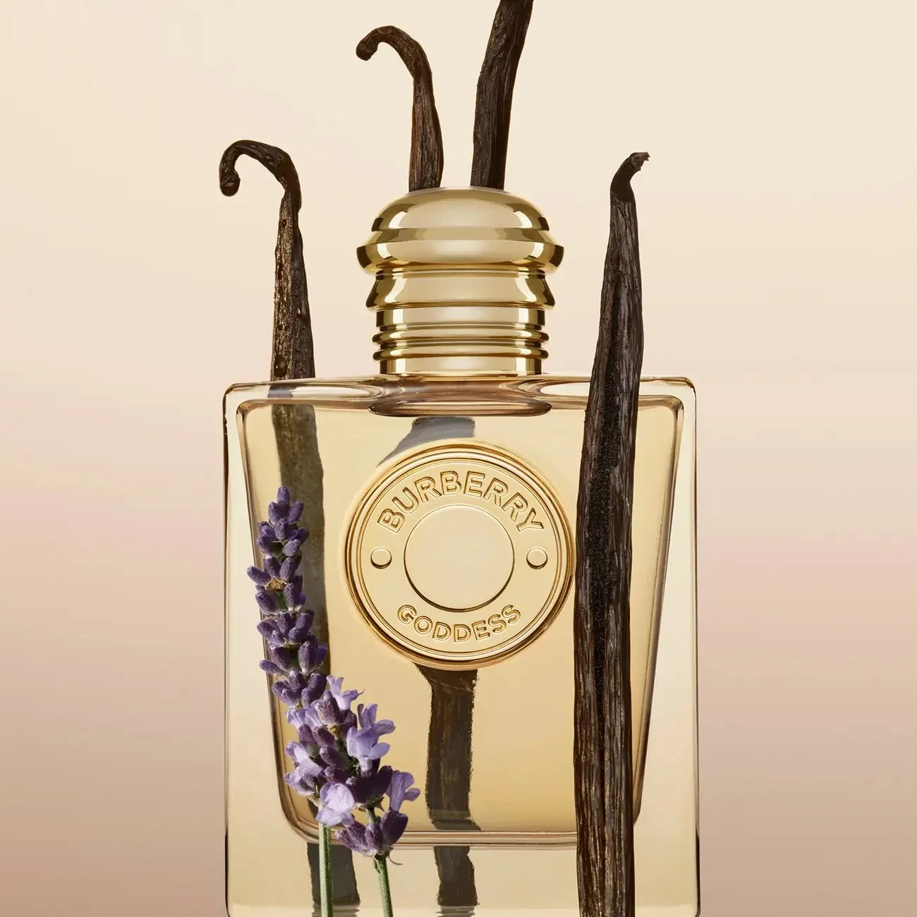 Burberry Goddess Parfum For Women fragrance details image