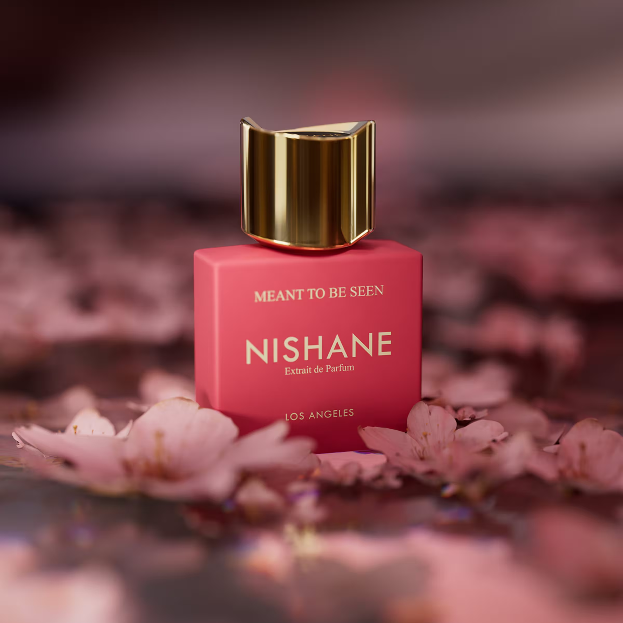 Nishane Meant To Be Seen Extrait de Parfum fragrance details image