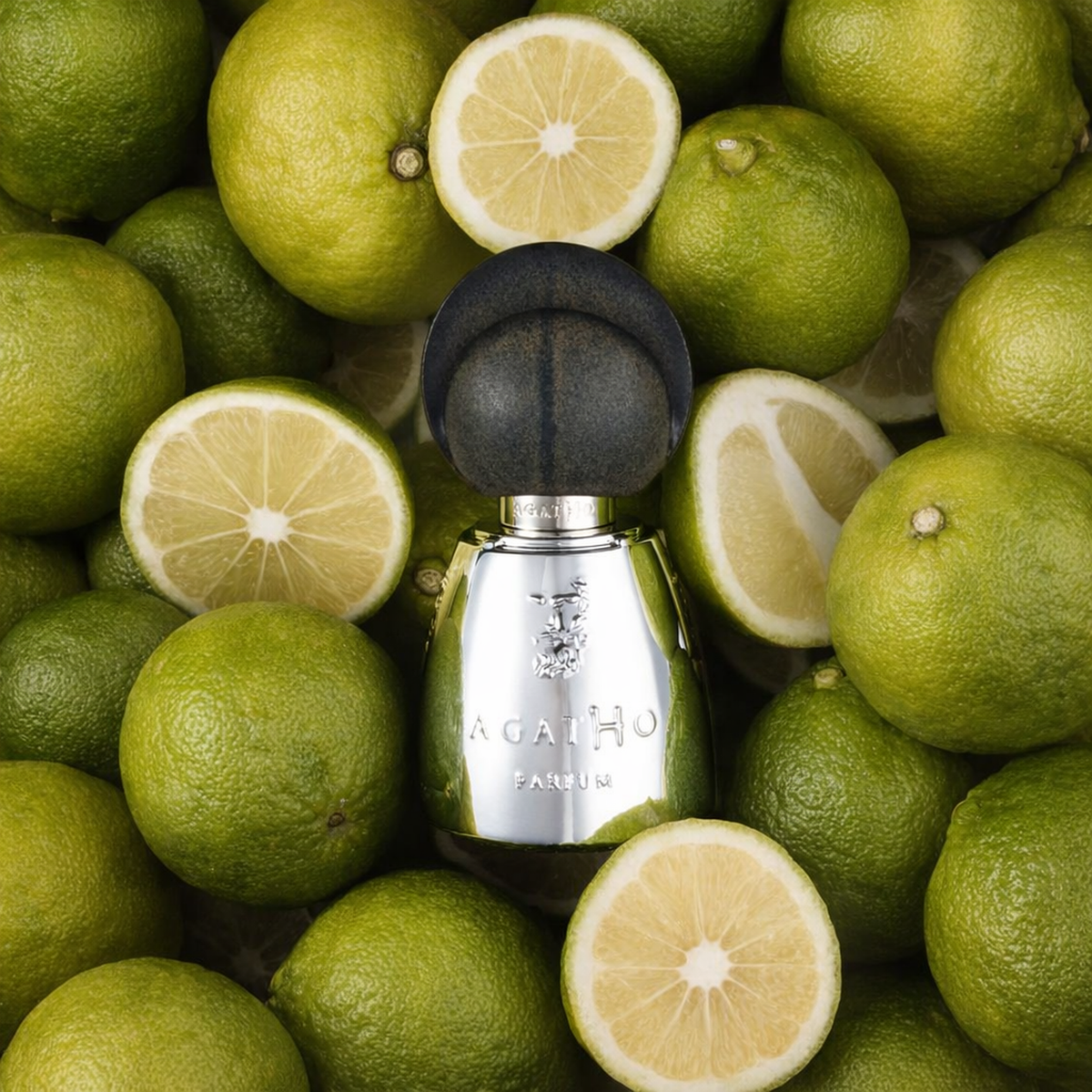 Agatho Parfum Pompei Collection Giardinodiercole Extrait de Parfum notes image