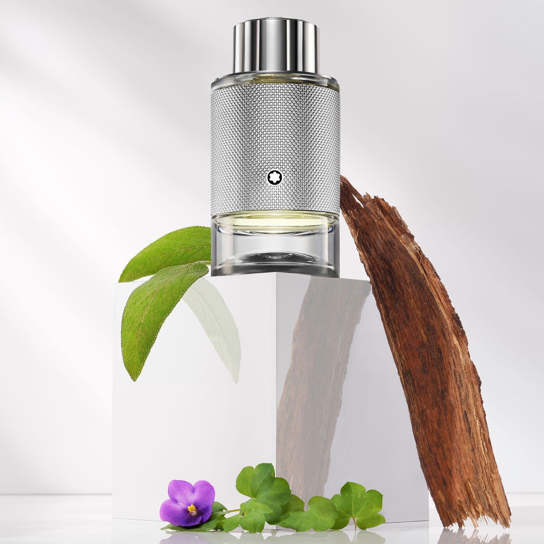 Mont Blanc Explorer Platinum EDP Gift Set for Him