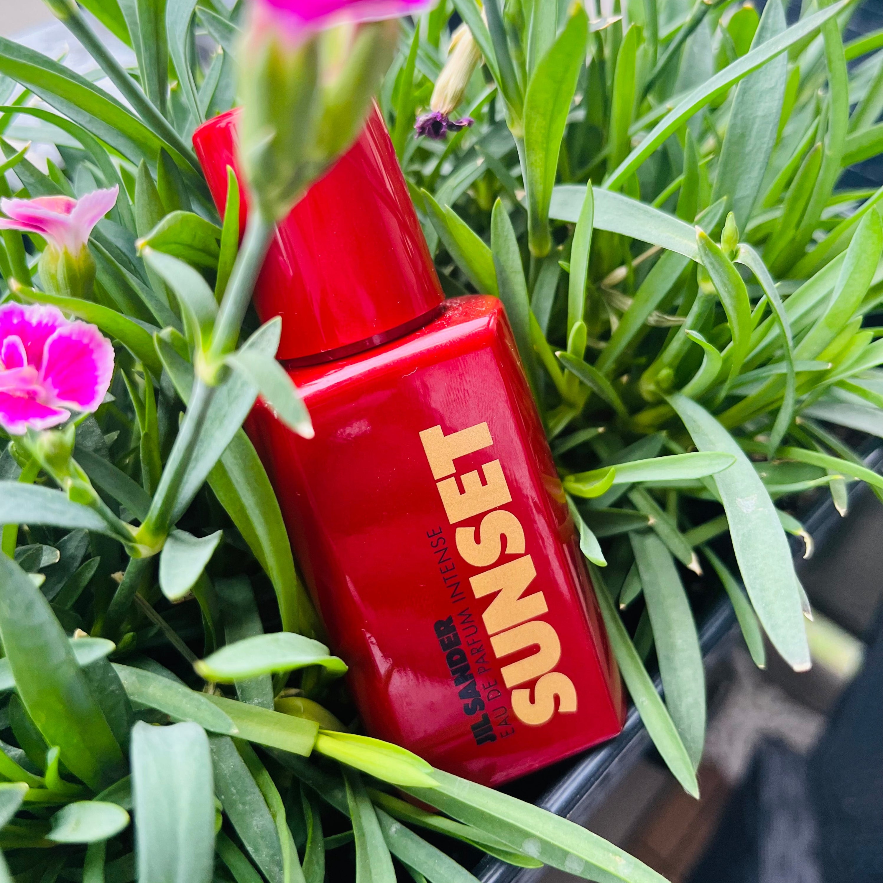 Jil Sander Sunset EDP