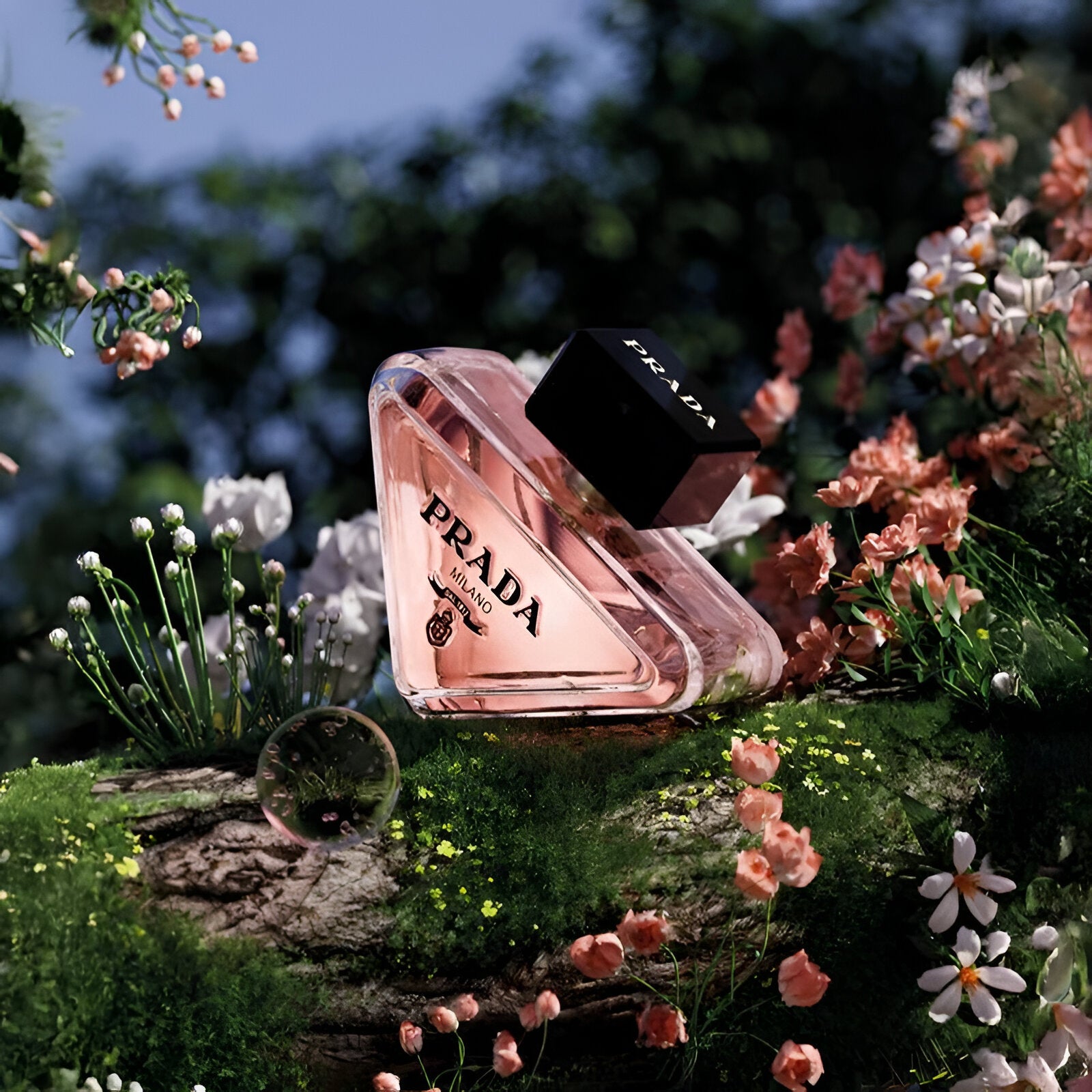 Prada Paradoxe EDP For Women