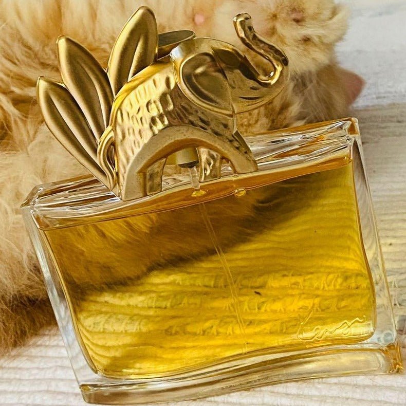 Shop Kenzo Jungle L'Elephant EDP | My Perfume Shop UK
